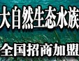 ̬֮